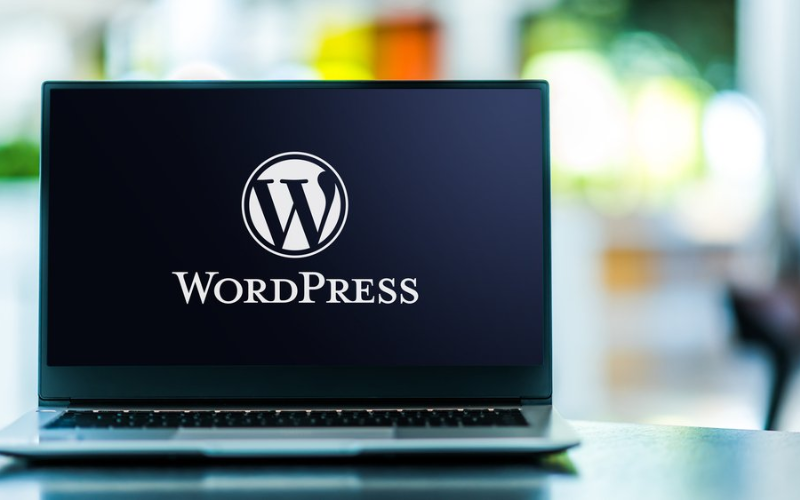 Read more about the article How to Build a Business Website with WordPress